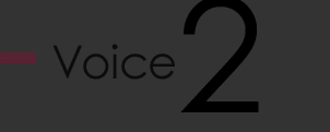voice2