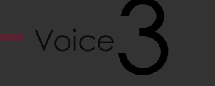 voice3