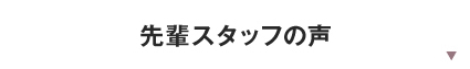 先輩スタッフの声