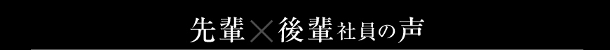 先輩後輩社員の声