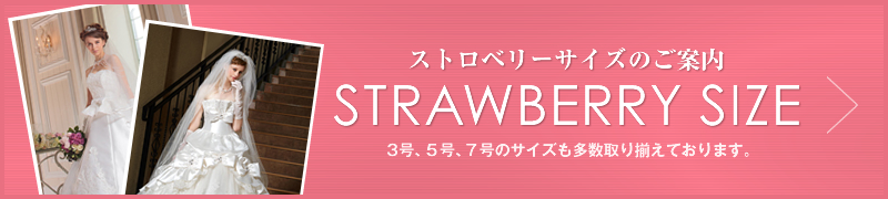 ストロベリーサイズはこちら